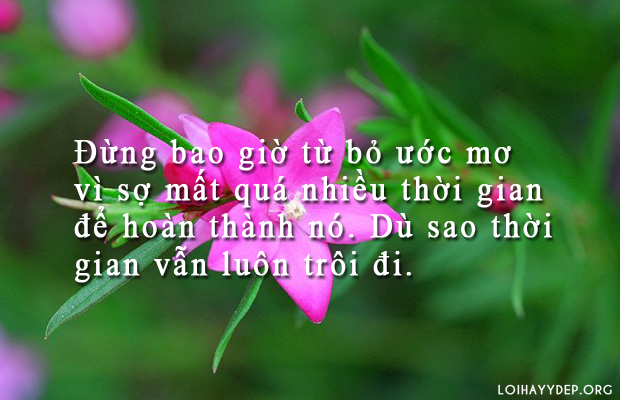 Học kế toán ở Thanh Hóa Nếu người kéo xe là bạn, trên có bố, mẹ, dưới có vợ và con, chỉ cần một giây sơ sẩy trượt chân thôi,