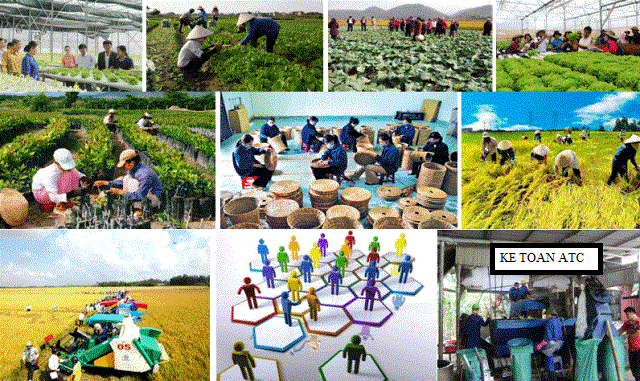 trung tam ke toan tai thanh hoa Tài khoản dùng để tập hợp tổng chi phí sản xuất và tính giá thành sản phẩm của các hoạt động nuôi trồng, chế