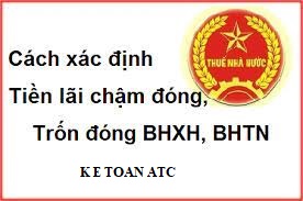 Hoc ke toan tai thanh hoa Nếu bạn chậm đóng tiền bảo hiểm bạn sẽ phải chịu phạt, vậy cách tính alxi nộp chậm và truy thu thế nào?Xin