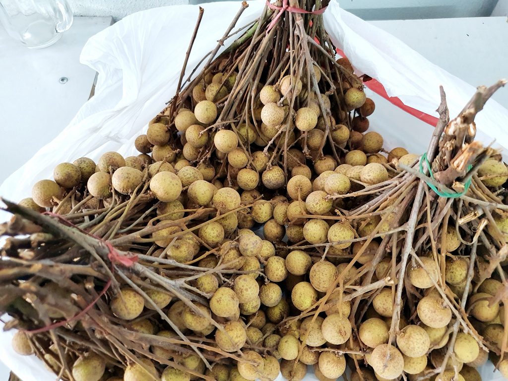 Học tin học ở Thanh Hóa