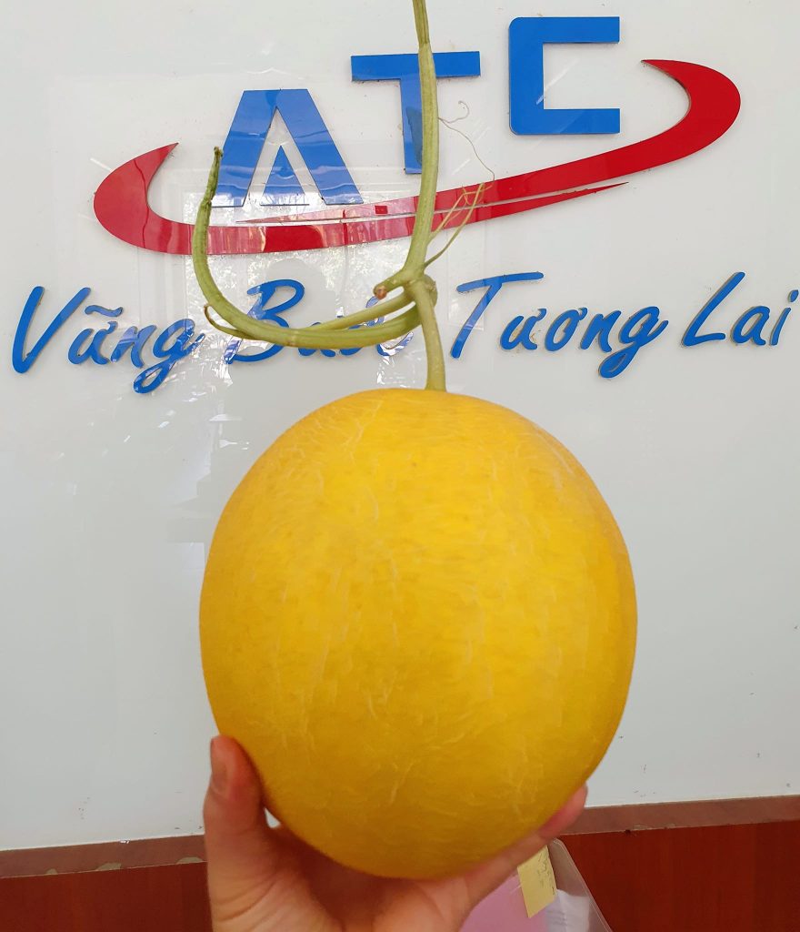lop dao tao ke toan o thanh hoa Đôi khi những điều đơn giản, giản dị nhất lại khiến bạn vui nhất. Hôm nay trung tâm ATCchúng tôi lại