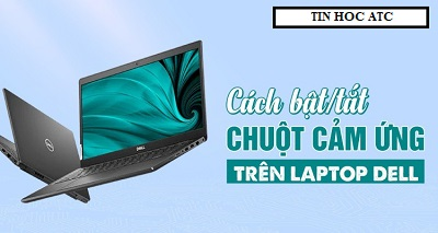 Học tin học cấp tốc ở thanh hóa Bạn muốn tắt chuột cảm ứng trên laptop, hãy tham khảo bài viết sau đây nhé! Mời các bạn theo dõi bài viết :