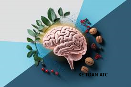 Hoc ke toan thue tai thanh hoa Thói quen tốt cho não bộ để đạt phong thái đỉnh cao.Dưới đây là những thói quen tốt cho não bộ mà ATC tổng