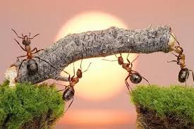 Hoc tin hoc van phong tai Thanh Hoa Sắp tới là thời gian căng thẳng của các bạn chuyển cấp, vì thế tin học ATC muốn các bạn hãy ngẫm lại