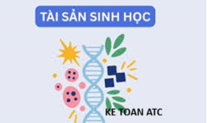 Học kế toán thực hành tại thanh hóa Từ ngày 01/01/2026, Thông tư 99/2025/TT-BTC chính thức có hiệu lực và thay thế Thông