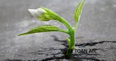 Học kế toán thuế tại Thanh Hoá Cuộc sống không phải lúc nào cũng trải đầy hoa hồng. Có những ngày ta cảm thấy mệt mỏi, thất vọng