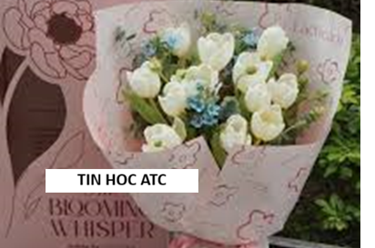 Hoc tin hoc thuc hanh o thanh hoa 20/10 NÀY "U MÊ" AI? GỢI Ý CÁCH GEN Z BẬT MODE YÊU THƯƠNG DÀNH CHO CÁC "NỮ THẦN"Mỗi độ tháng 10